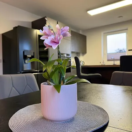 Luxus Penthouse Oase Der Entspannung Norderstedt